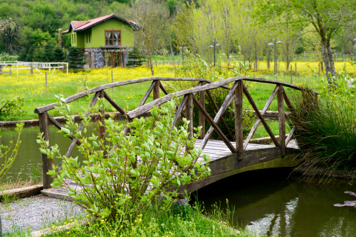 Wooden bridge on pond. MORE IMAGES...(you can see links to other categories via my main account page-About Me)