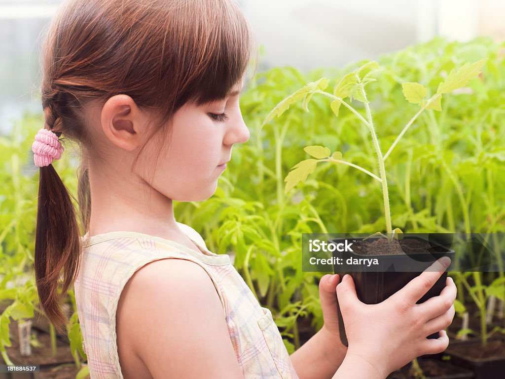 Linda Menina com planta - Royalty-free 6-7 Anos Foto de stock