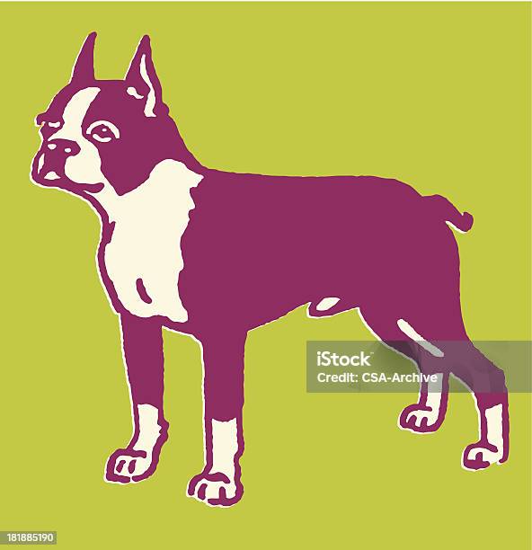 Boston Terrier - Stockowe grafiki wektorowe i więcej obrazów Zwierzę domowe - Zwierzę domowe, Barwne tło, Boston terrier