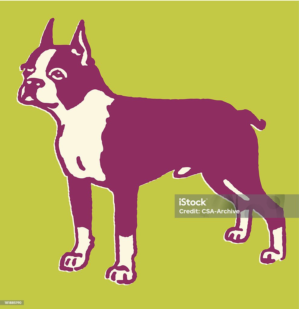 Terrier Boston - Royalty-free Animal de Estimação arte vetorial