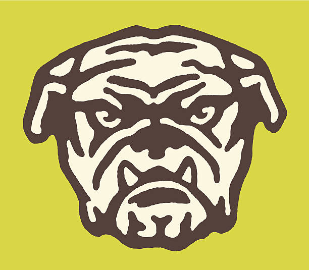 Mean Bulldog Mean Bulldog mean dog stock illustrations