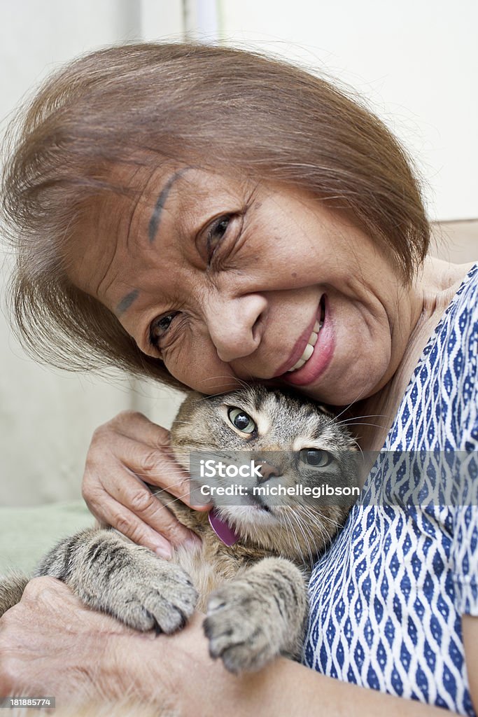 Amizade - Royalty-free Gato domesticado Foto de stock