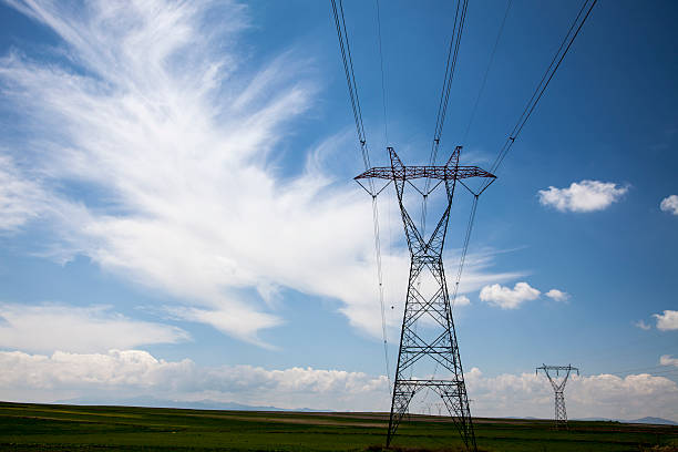Lush Field with Electricity Pylons