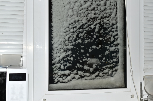 Thick, wet snow covered the window glass. The photo was taken from inside the room.