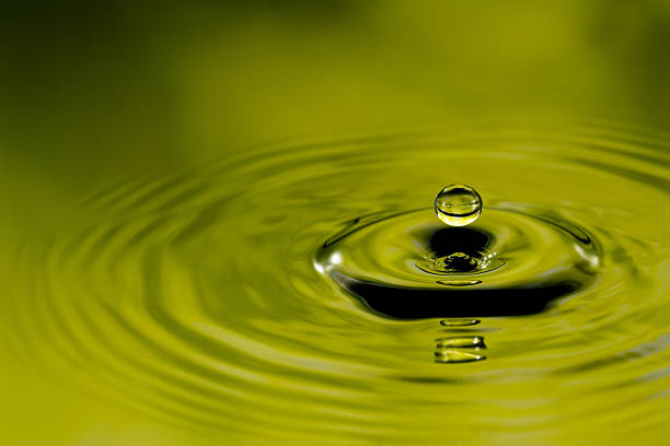 istock Water drop with reflection of green jungle 181886259