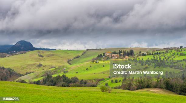 Vineyard Und Olivenhain Landschaft Stockfoto und mehr Bilder von Agrarbetrieb - Agrarbetrieb, Anhöhe, Baum