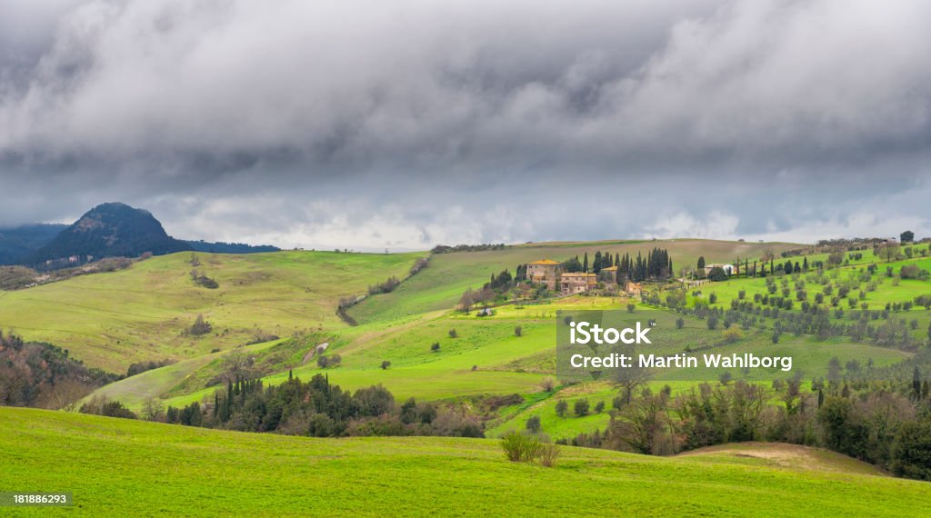 Vineyard y olivar paisaje - Foto de stock de Agricultura libre de derechos