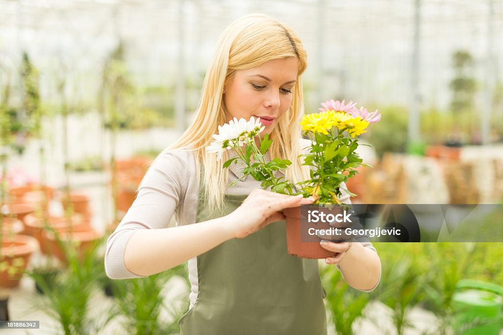 Junge weibliche florist - Lizenzfrei Arbeiten Stock-Foto