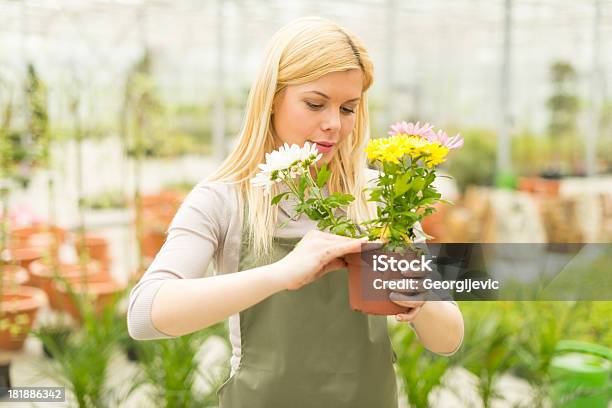 Junge Weibliche Florist Stockfoto und mehr Bilder von Arbeiten - Arbeiten, Attraktive Frau, Berufliche Beschäftigung