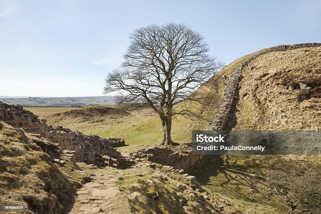 Sycamore Gap, Hadrian's Wall "The famous Sycamore Gap viewed from the path on Hadrian's Wall, Northumberland, England.See more images from Hadrian's Wall in my lightbox:" Ancient Stock Photo