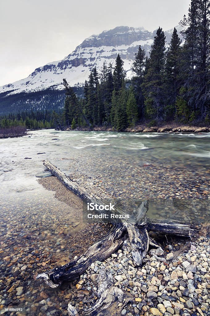Сумерки горный пейзаж с реки Боу, Канадский Rokies - Стоковые фото Альберта роялти-фри