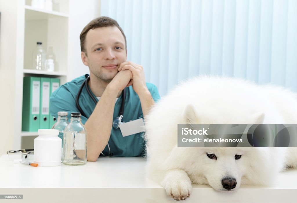 Veterinario - Foto stock royalty-free di Accarezzare un animale