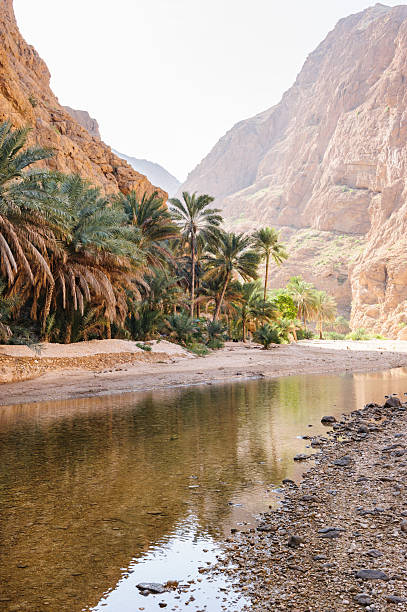 wadi shab entrée - sharqiyah photos et images de collection