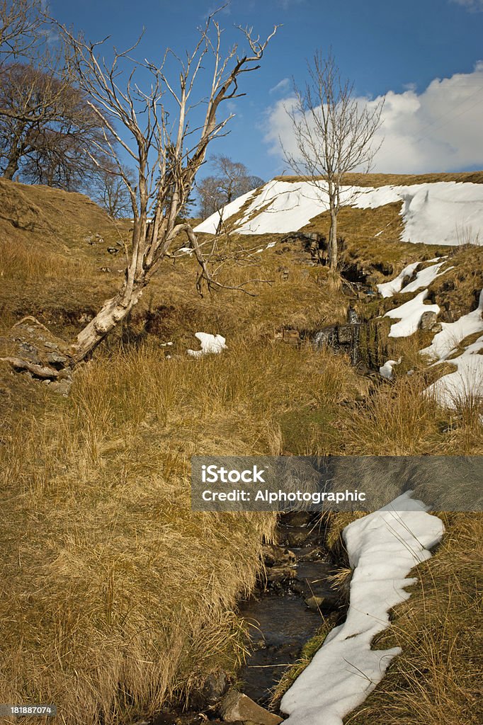 Rivière Tyne affluent avec neige - Photo de Angleterre libre de droits