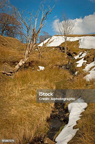 Photo libre de droit de Rivière Tyne Affluent Avec Neige banque d'images et plus d'images libres de droit de Angleterre - Angleterre, Arbre, Arbre à feuilles caduques