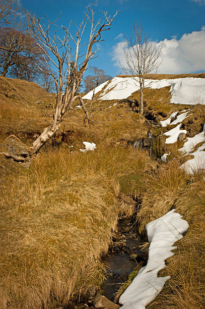 rzeka tyne pomocnicze ze śniegiem - nature rough cumbria sunlight zdjęcia i obrazy z banku zdjęć