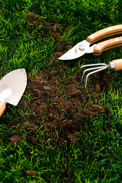 istock garden equipment on grass 181887139
