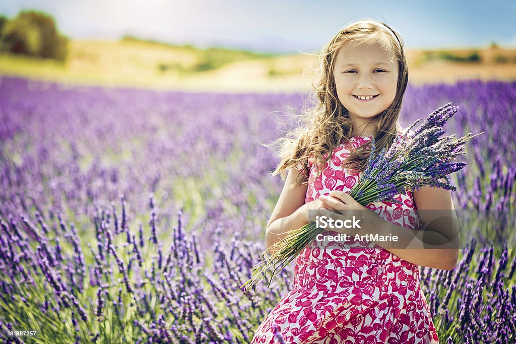 En el campo de lavanda - Foto de stock de Flor libre de derechos