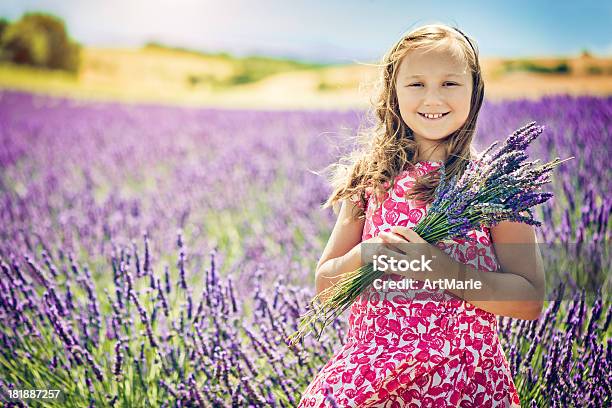 Photo libre de droit de Dans Le Champ De Lavande banque d'images et plus d'images libres de droit de Fleur - Flore - Fleur - Flore, France, Petites filles