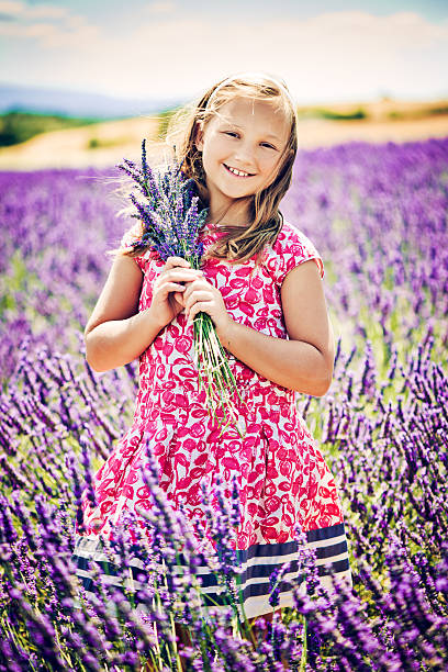 istock In the field of lavender 181887258