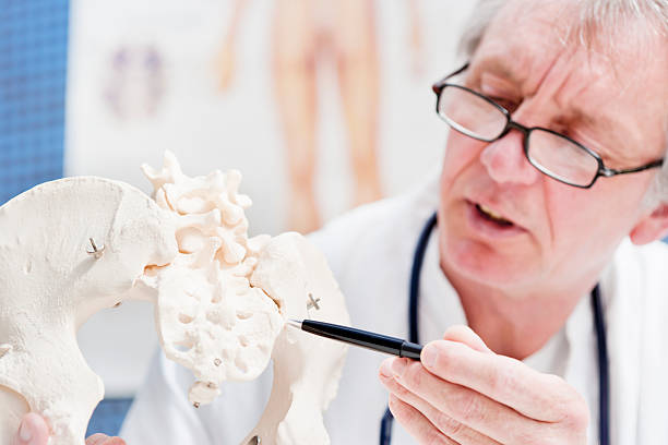 istock Doctor pointing at sacroiliacal joint 181887823