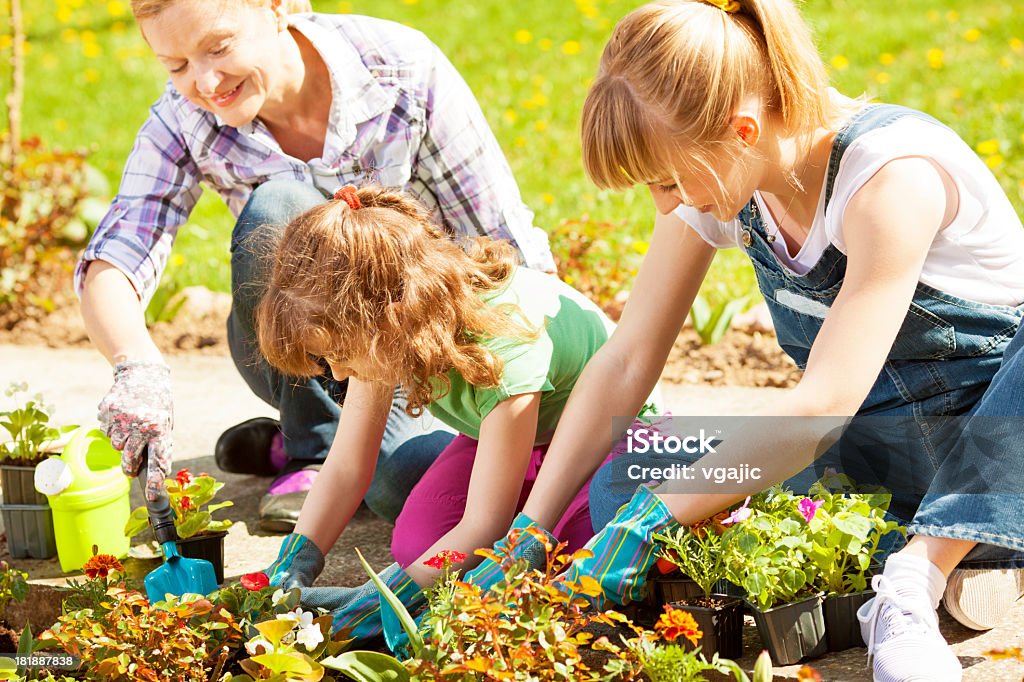 Family Gardening Together Outdoors Mature woman gardening with her daughter and granddaughter outdoors. Having fun together. Digging Stock Photo