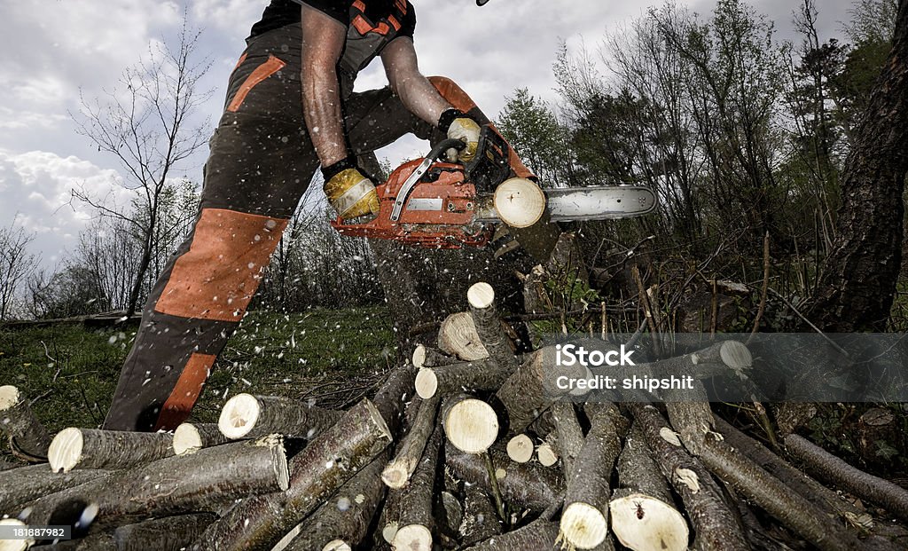 Taglio di legno con una Motosega - Foto stock royalty-free di Motosega