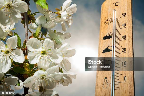 Thermometer Stockfoto und mehr Bilder von Ausrüstung und Geräte - Ausrüstung und Geräte, Baumblüte, Blatt - Pflanzenbestandteile