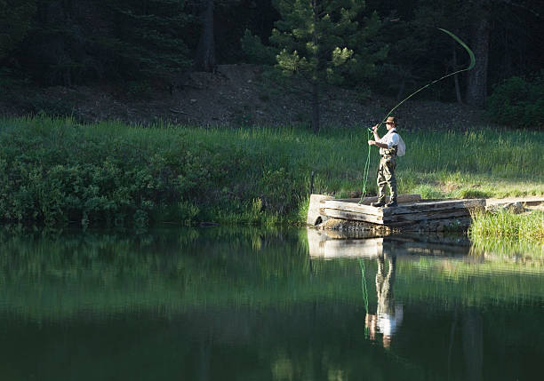 fly fisherman trabajo cervato lakes, red river, nuevo méxico - red river fotografías e imágenes de stock