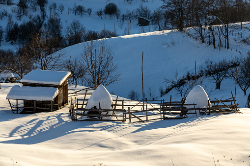 Alpine meadow Planina Uskovnica in Winter