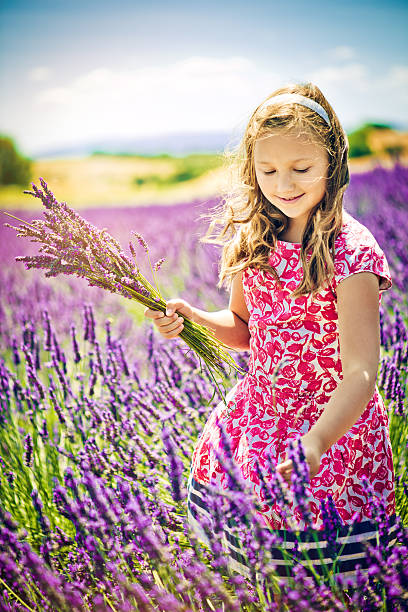 istock In the field of lavender 181888597