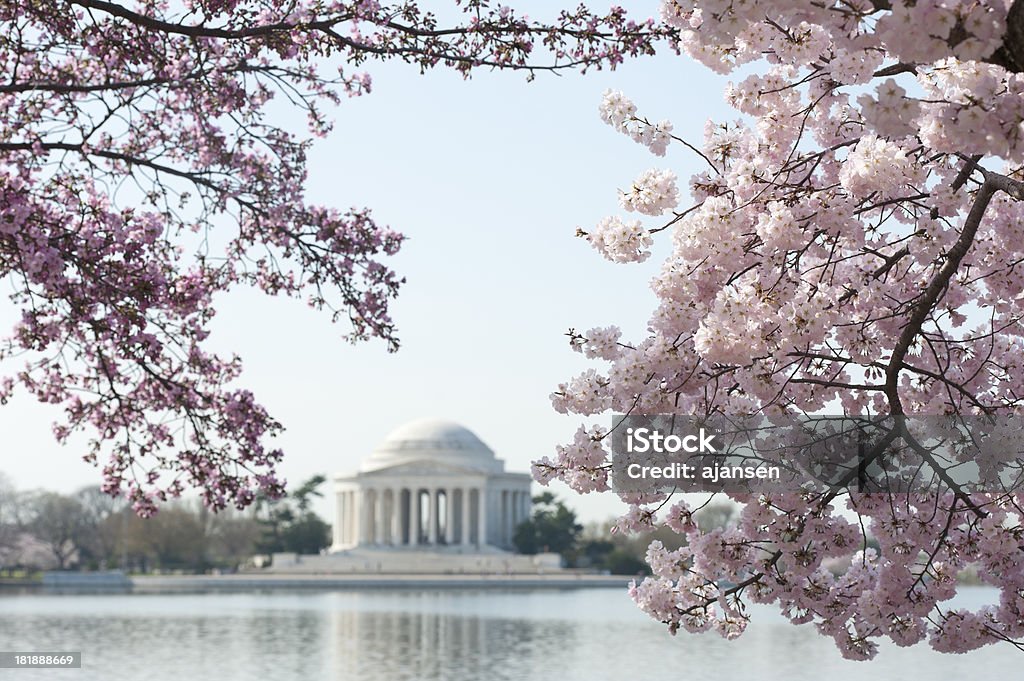 Flor de cerejeira com memorial de jefferson fora de Foco - Royalty-free Sakura Matsuri Foto de stock