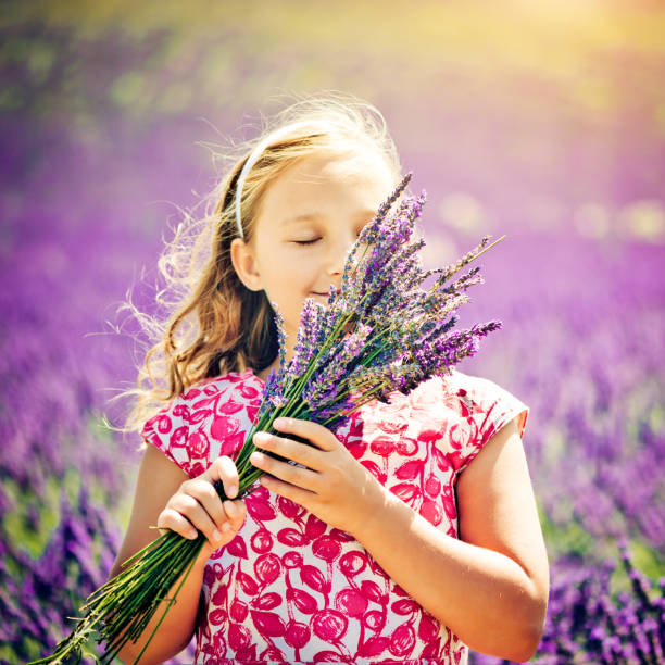 dans le champ de lavande - aromatherapy single flower flower holding photos et images de collection