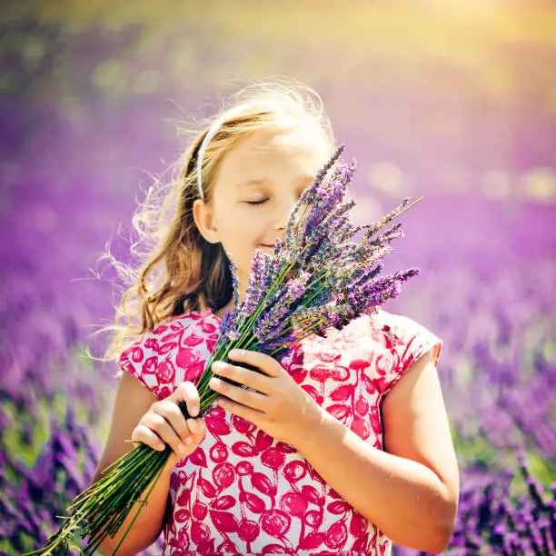 Photo of In the field of lavender