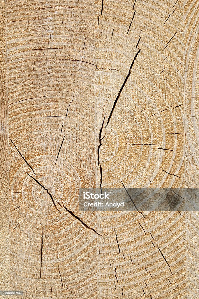 Anneaux d'arbre - Photo de Anneau de croissance d'un arbre libre de droits