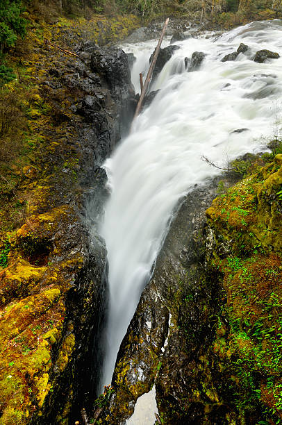 inglês river falls, na ilha de vancouver, canadá - englishman river falls - fotografias e filmes do acervo