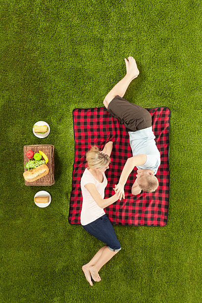 istock High angle view of a couple at picnic 181889696