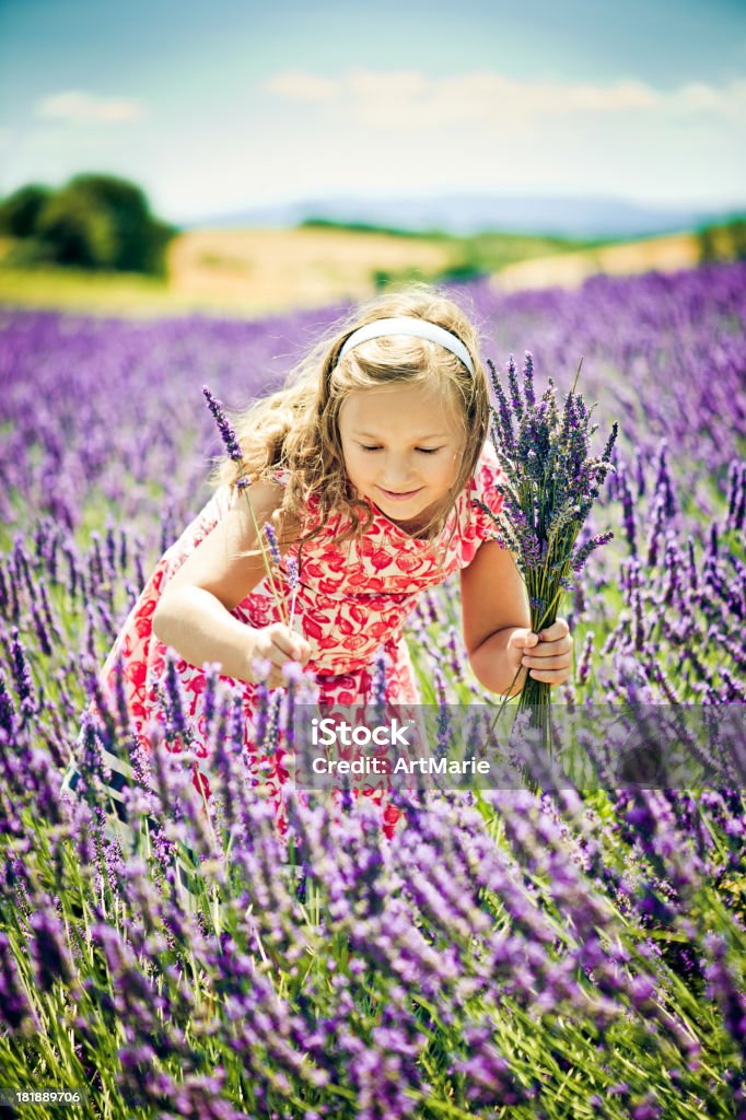 Em campo de lavanda - Foto de stock de 8-9 Anos royalty-free