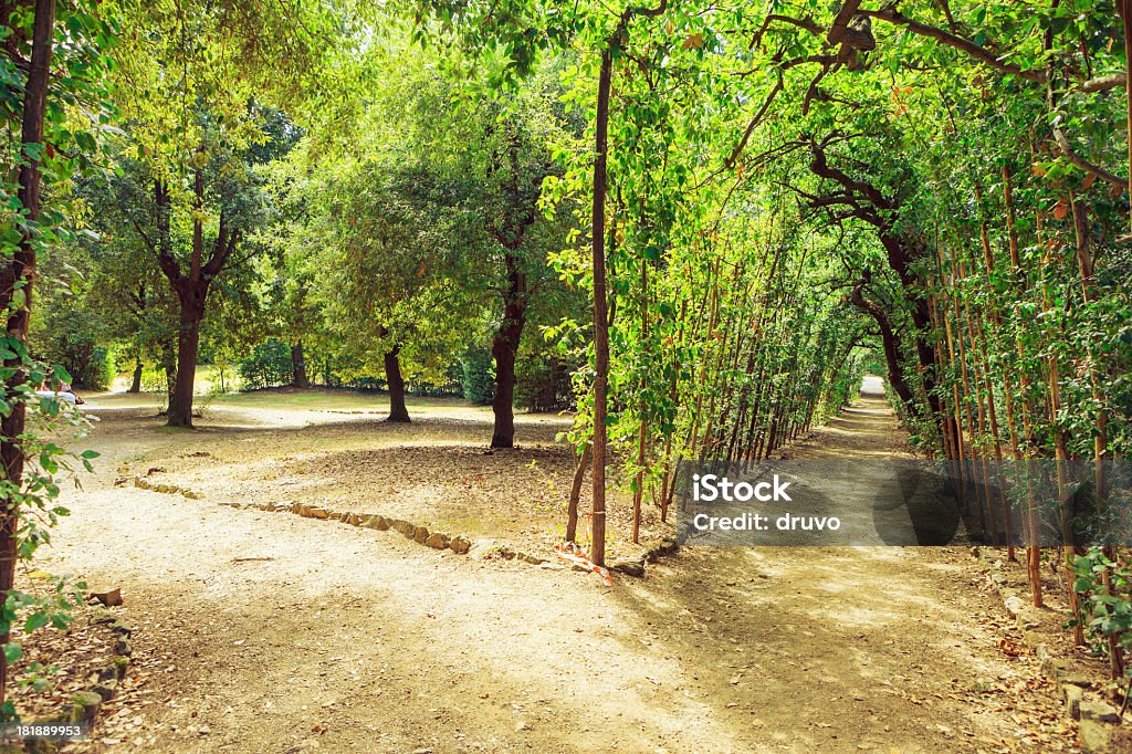 Schönen park alley - Lizenzfrei Baum Stock-Foto