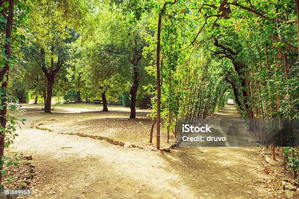 Schönen Park Alley Stockfoto und mehr Bilder von Baum - Baum, Florenz - Italien, Fotografie