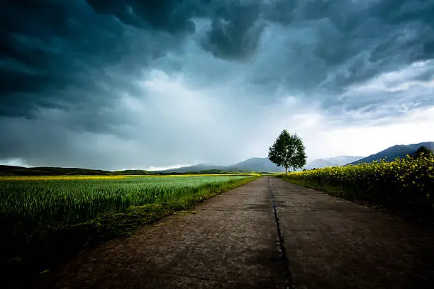 country road with dramatic storm clouds.adobe rgb 1998 use...........