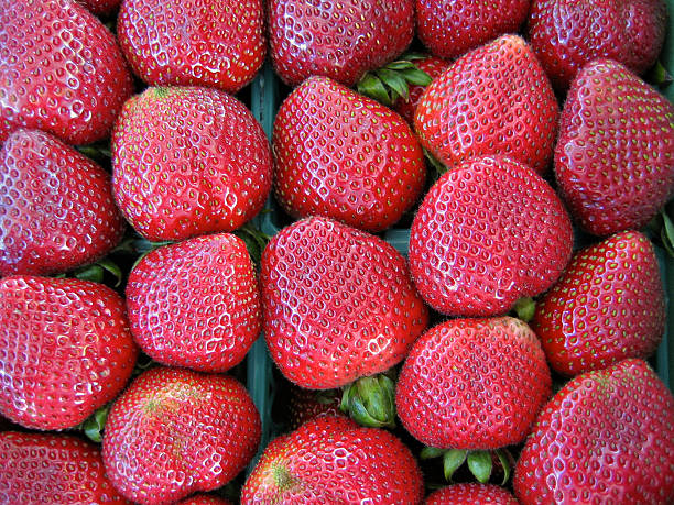 Strawberries stock photo