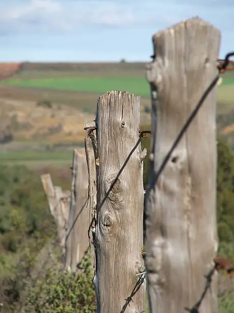 "This photo shows old fence posts sloping down a hill.  There is a sharp shadow of the fencing wire across the posts.  In the background, green fields can be seen."