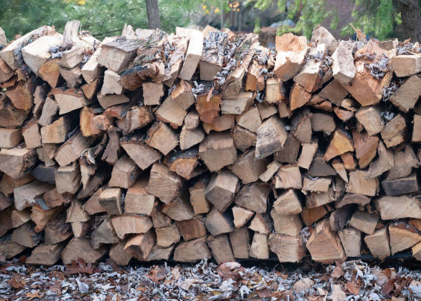 Woodpile Stacked Outdoors for Firewood stock photo