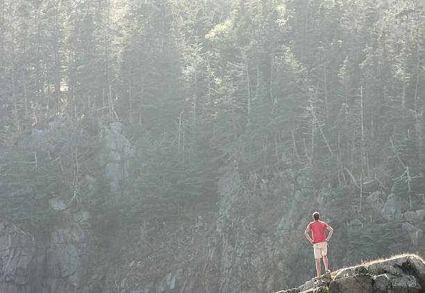 Admiring nature "A man stops along his hike within Quoddy Head State Park to admire the misty, sun shrouded cliff wall of pine and rock across an inlet. Adventure and exploration." quoddy head state park stock pictures, royalty-free photos & images