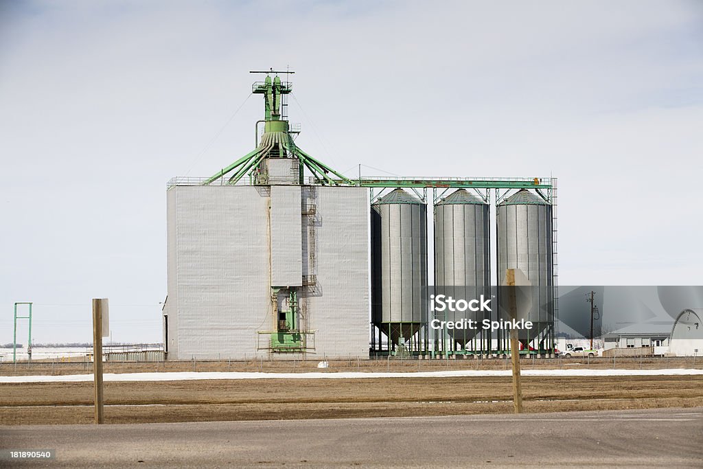 Convoyeur de Grain - Photo de Convoyeur de grain libre de droits