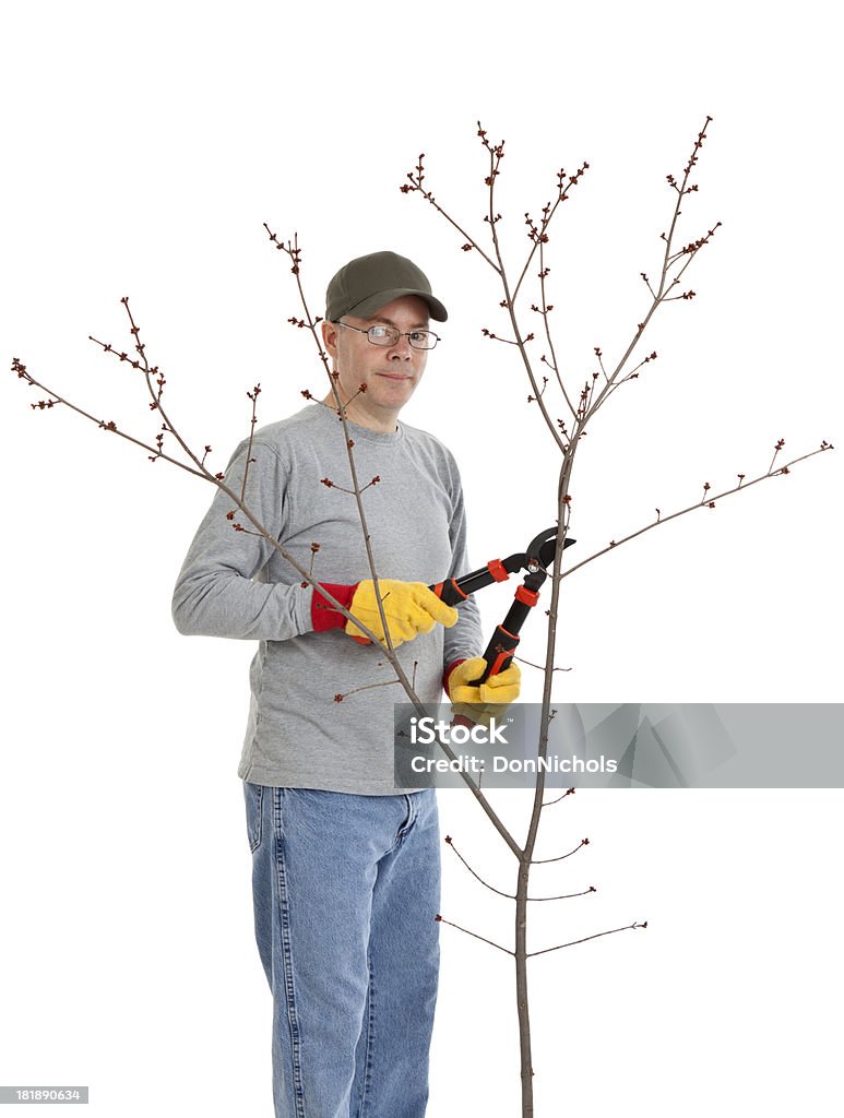 Homme la coupe un arbre - Photo de Adulte libre de droits