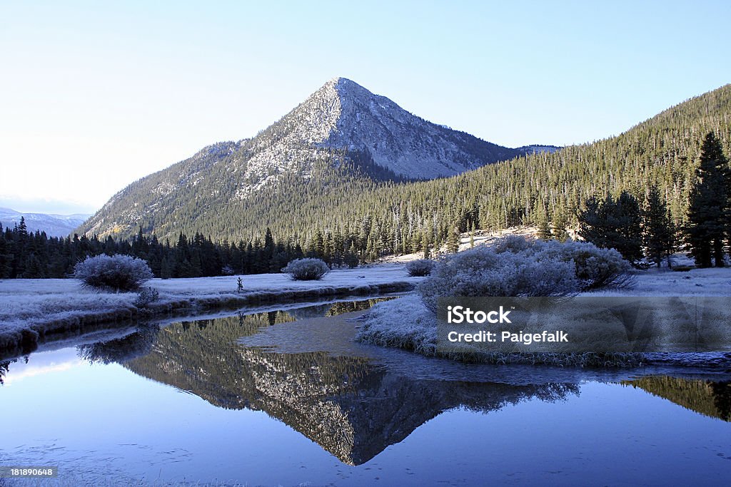 Zimny Yosemite Krajobraz - Zbiór zdjęć royalty-free (Bez ludzi)