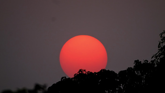 Sunset behind trees and grass in Pakistan, Dark sun set of an mysterious world.