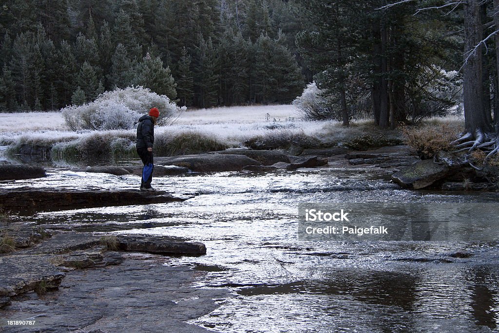 Riverside Fluss Tuolumne - Lizenzfrei Baum Stock-Foto